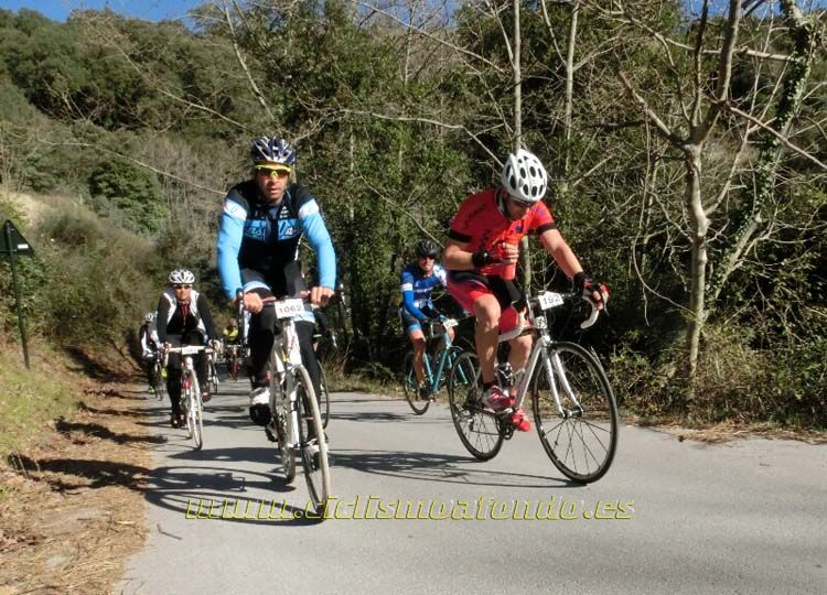 Ports Maresme 2014-1