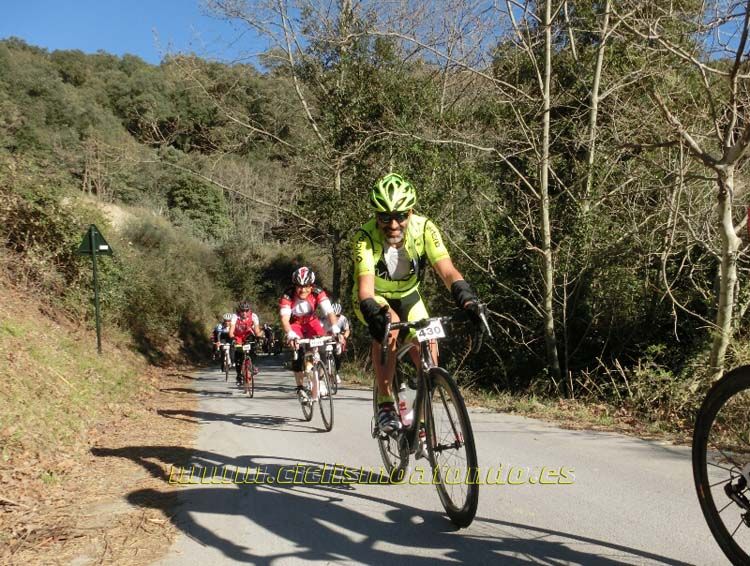 Ports Maresme 2014-1