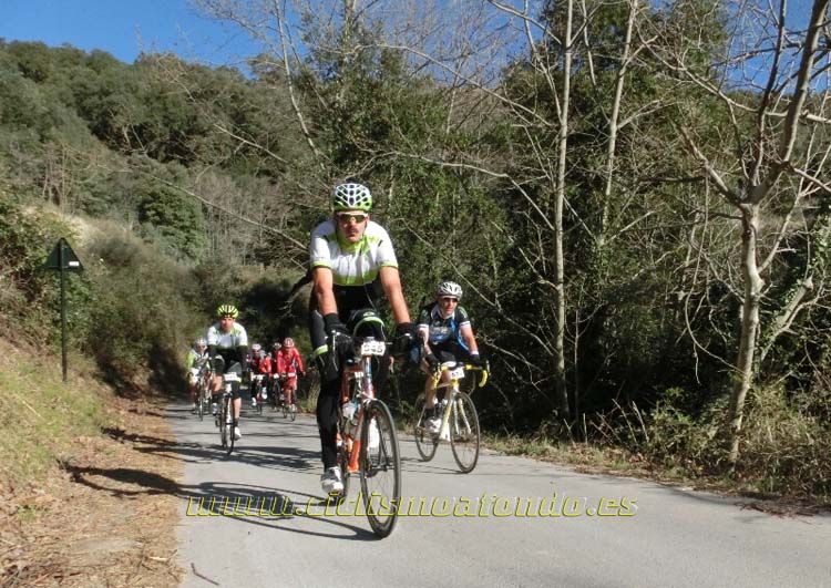 Ports Maresme 2014-1