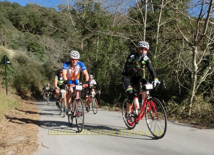 Ports Maresme 2014-1