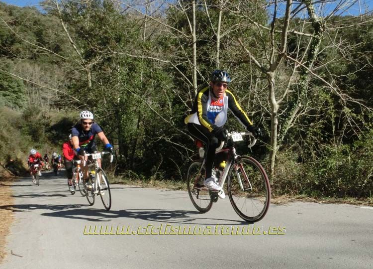 Ports Maresme 2014-1