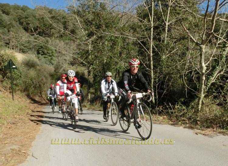 Ports Maresme 2014-1