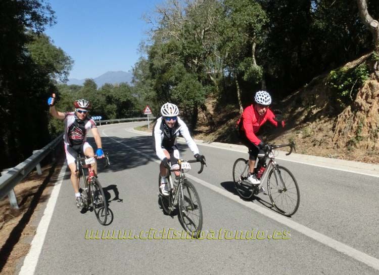 Ports Maresme 2014-1