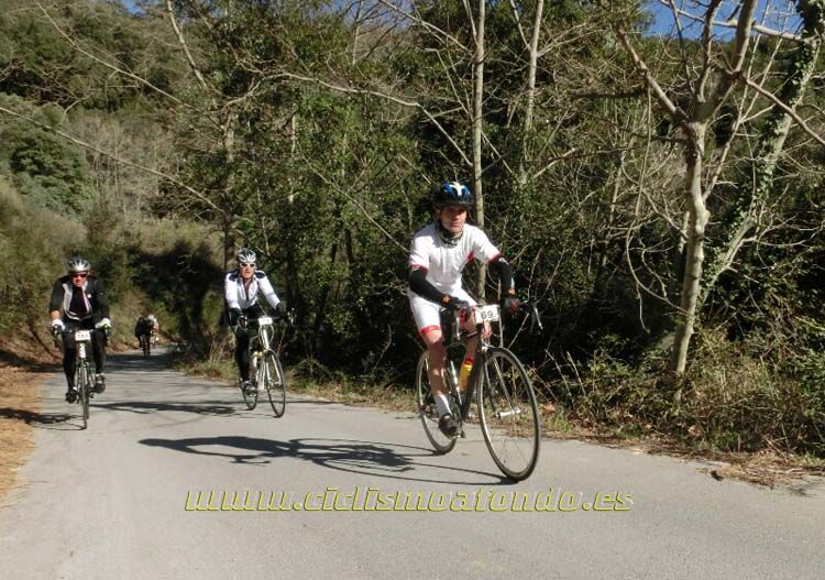 Ports Maresme 2014-1
