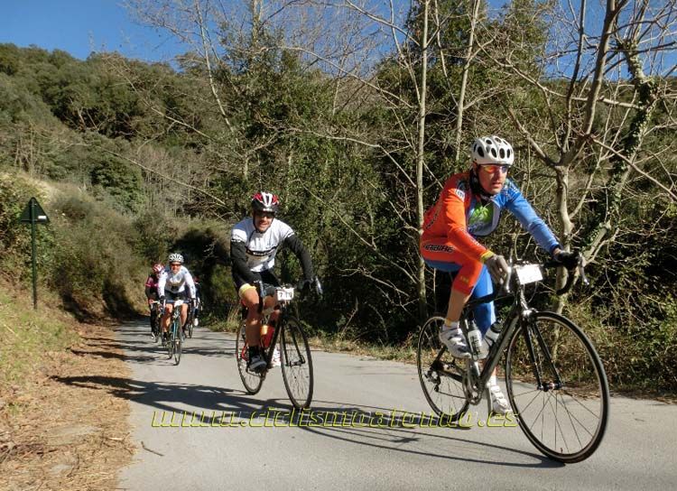 Ports Maresme 2014-1