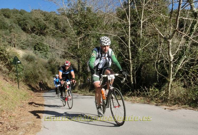 Ports Maresme 2014-1