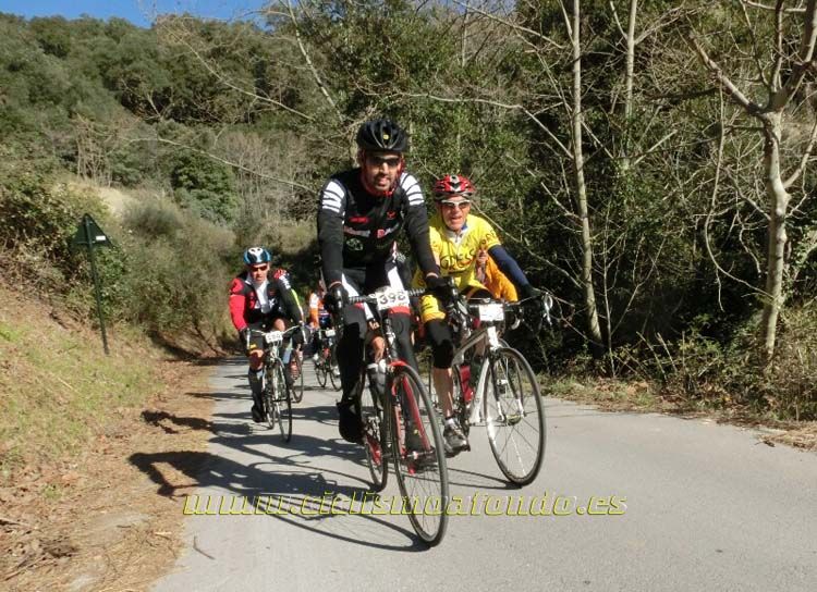 Ports Maresme 2014-1