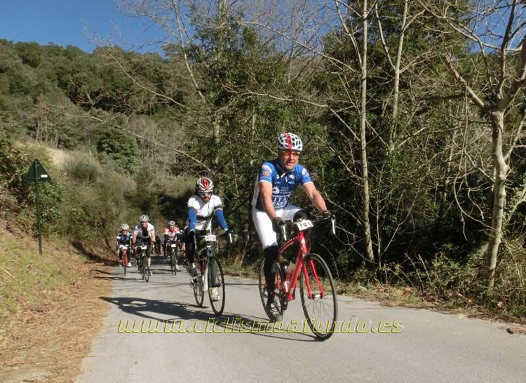 Ports Maresme 2014-1
