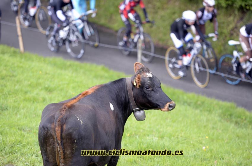 Tour de Romandia 2014