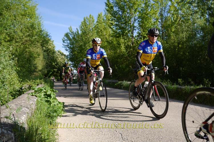 Kedada Urrez Campagnolo_02