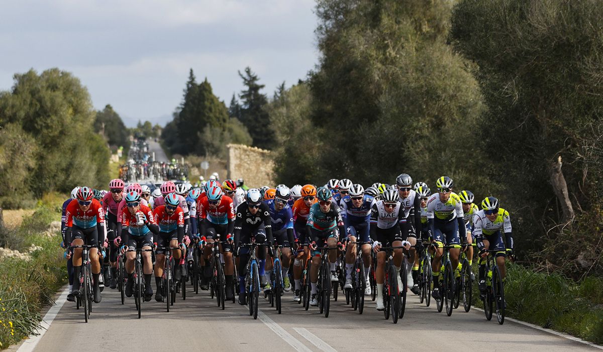 Una imagen de la pasada edición del Trofeo Palma-Palma de la Challenge Mallorca