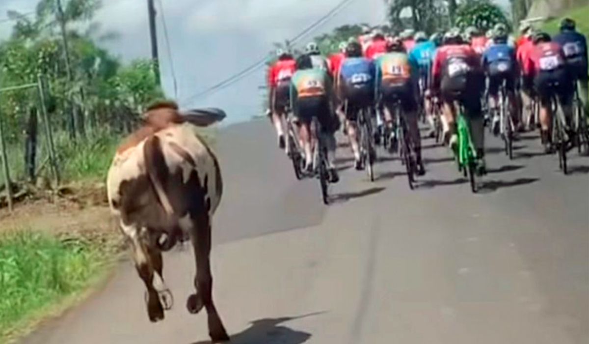 Un dopaje... 'que es la leche'