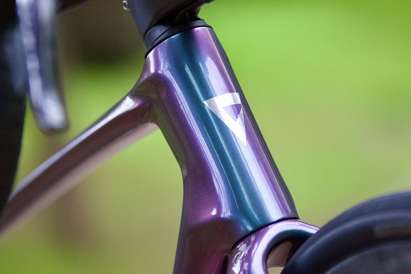 GiantDefy   6