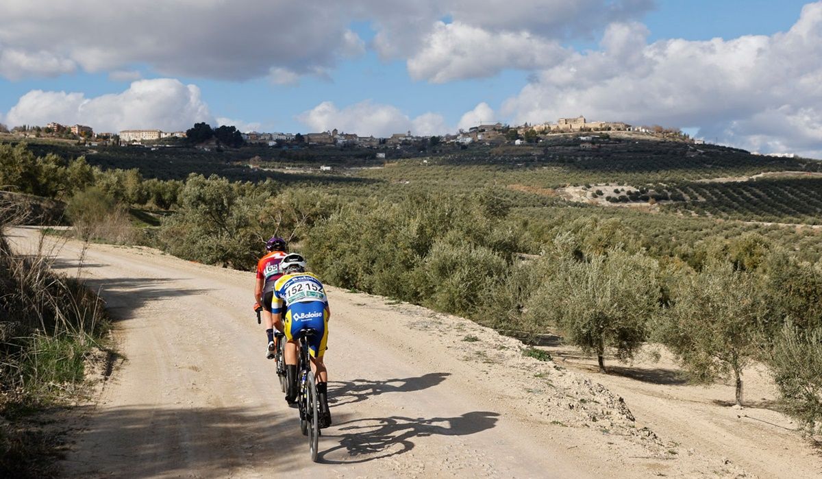 Los caminos de olivos volverán a ser protagonistas de la carrera andaluza