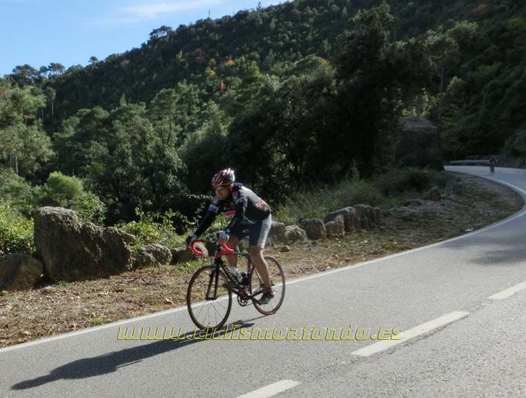 La Montserratina (III)