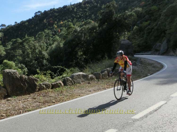 La Montserratina (III)