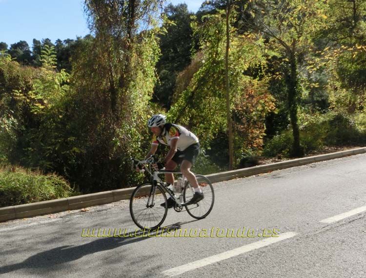 La Montserratina (III)