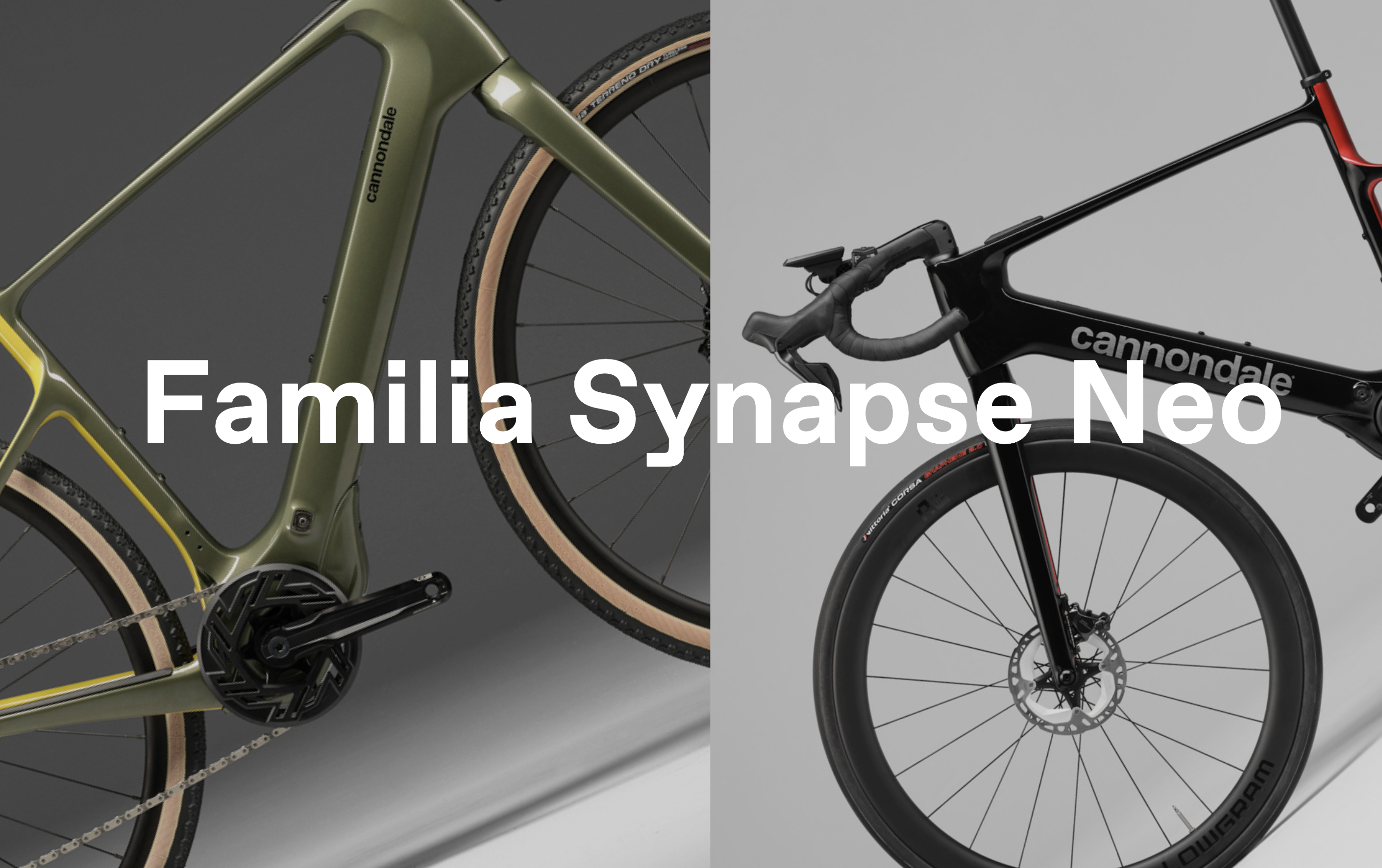 Así es la nueva Synapse Neo.