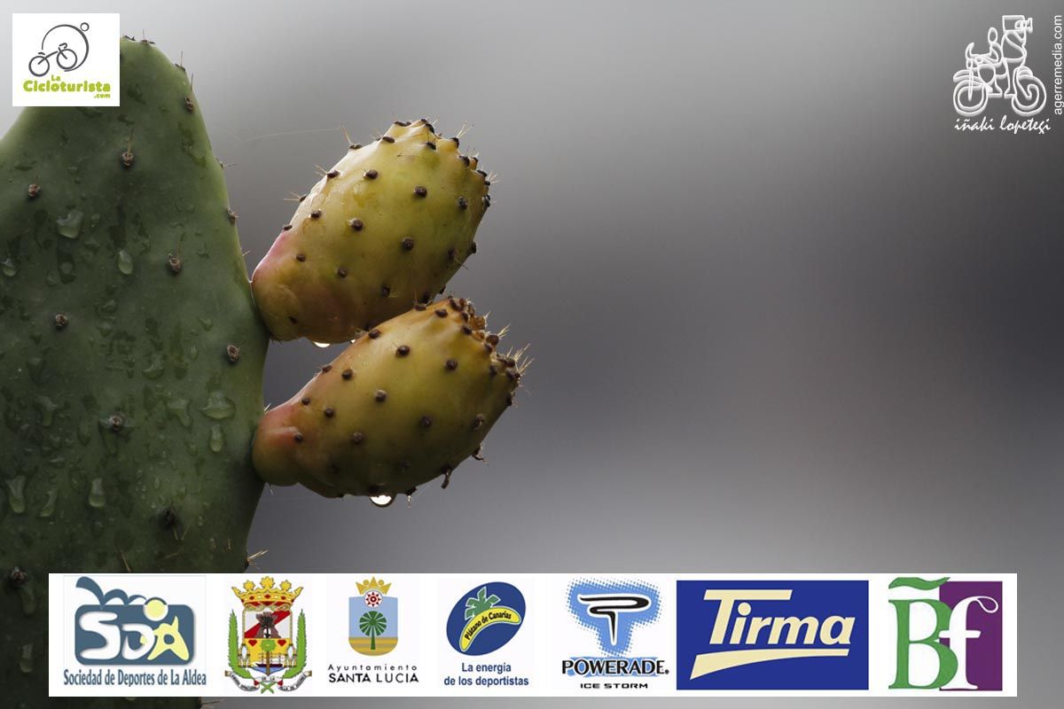 Cicloturista Gran Canaria_etapa2