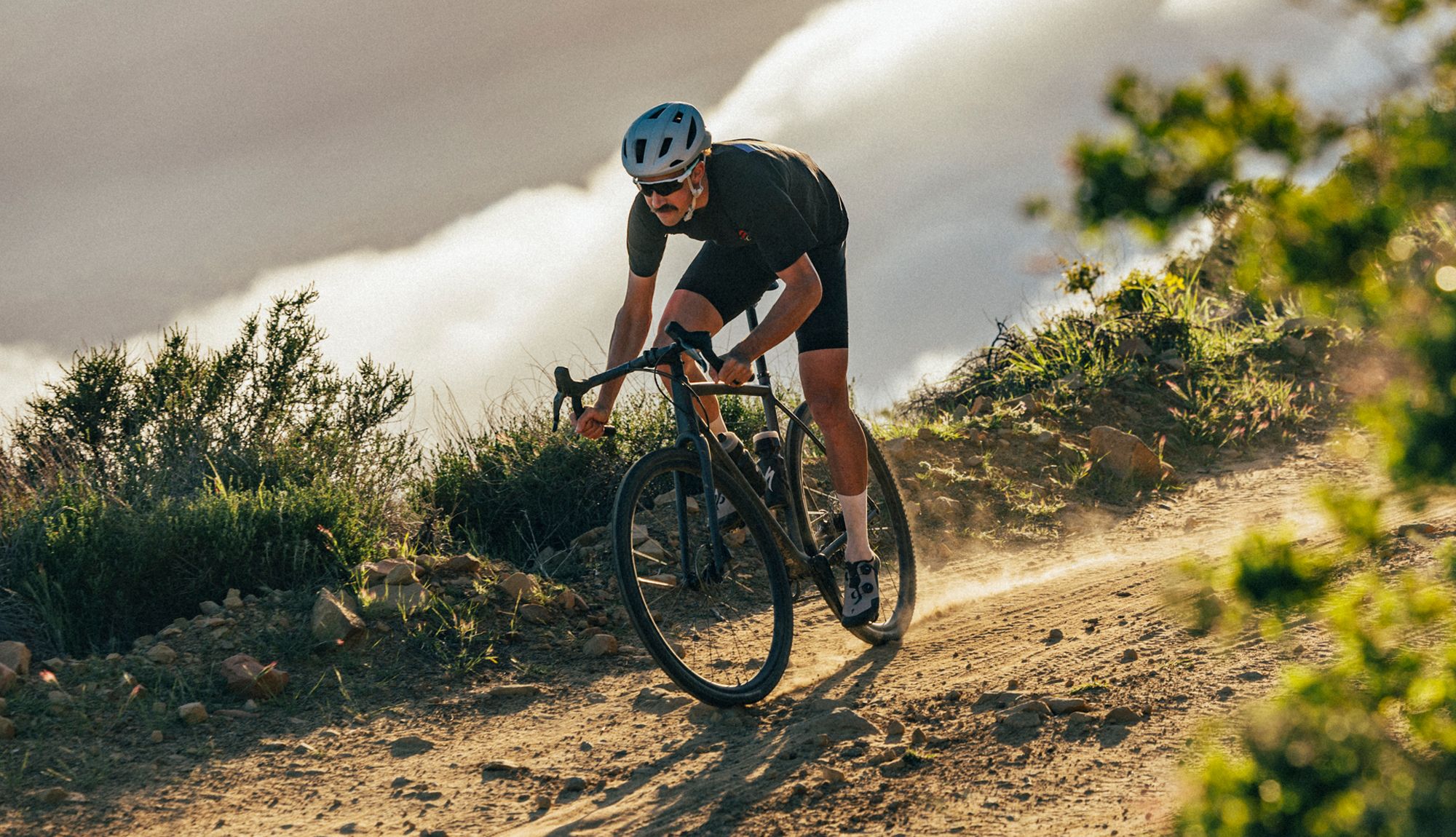 Nueva Specialized Crux DSW