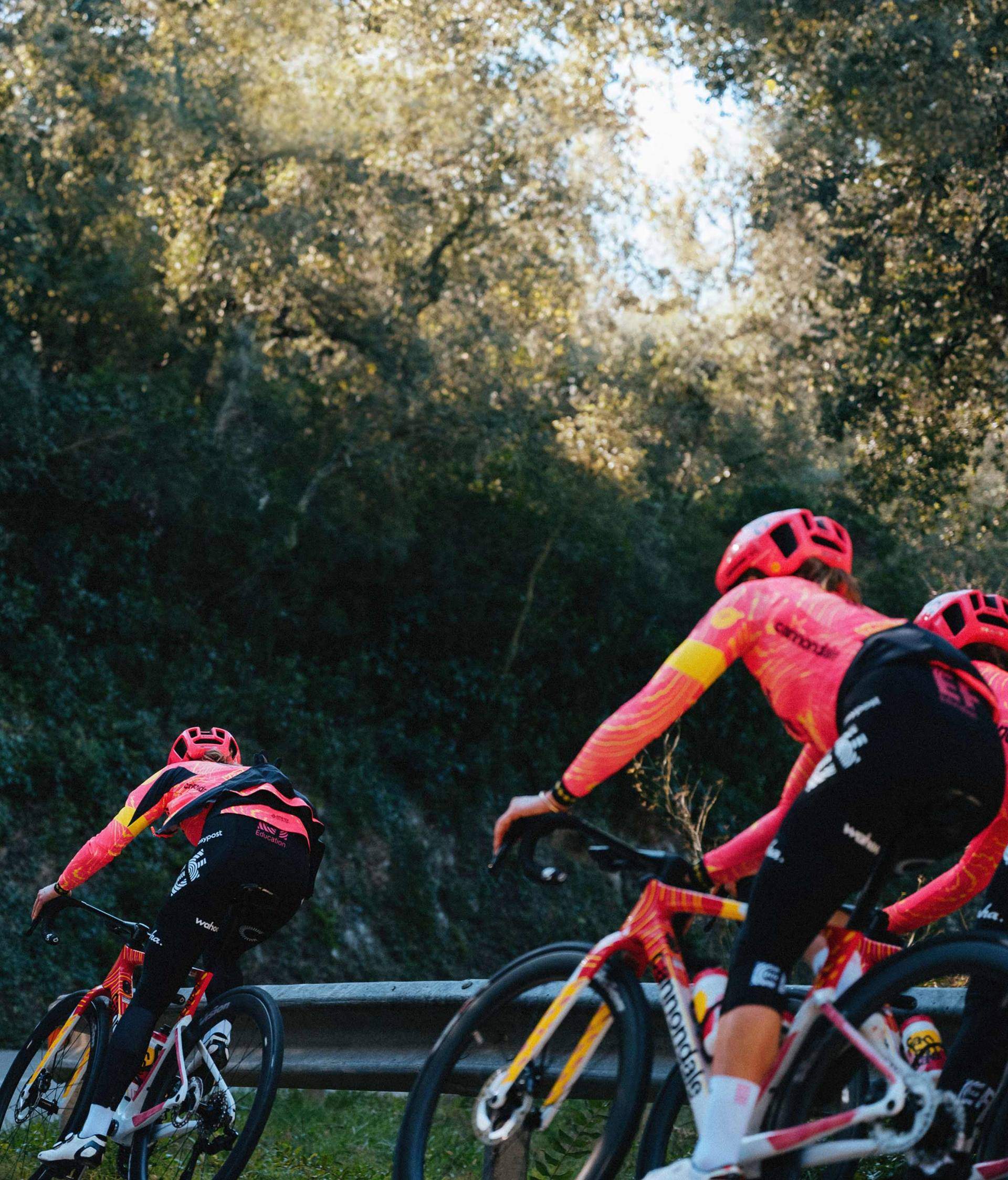 C24 RiddenByTheProsInPink ERP Desktop