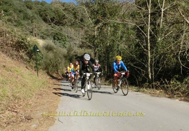 Ports Maresme 2014-3