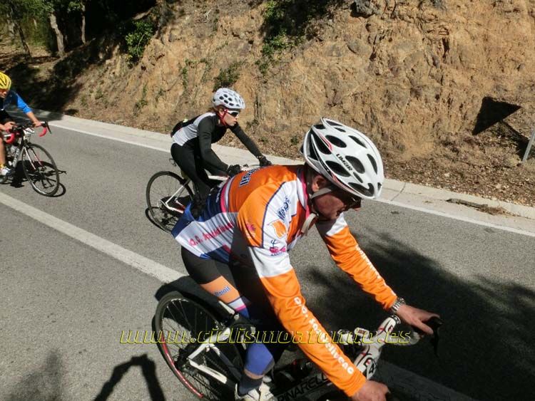 Ports Maresme 2014-3
