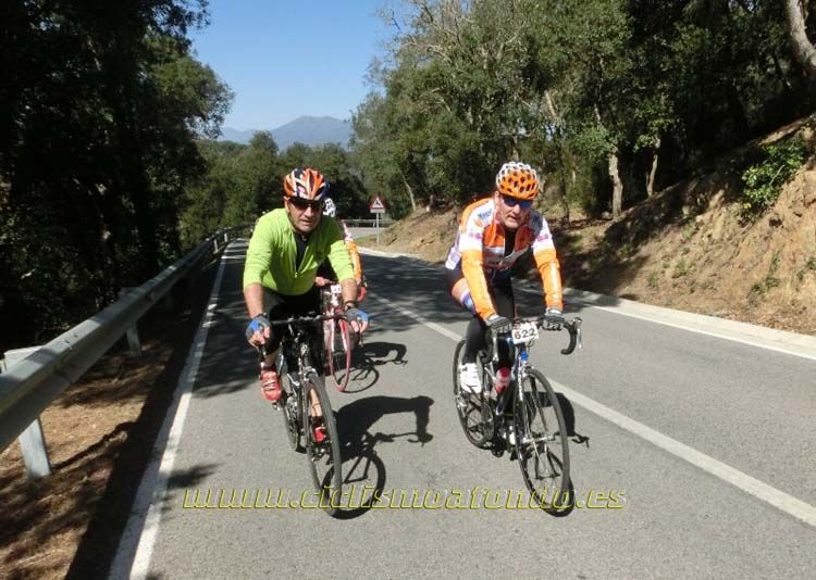 Ports Maresme 2014-3