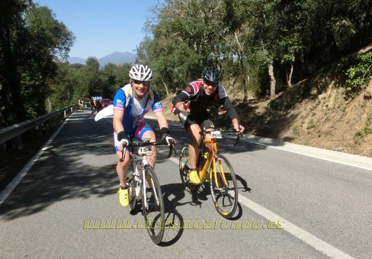 Ports Maresme 2014-3