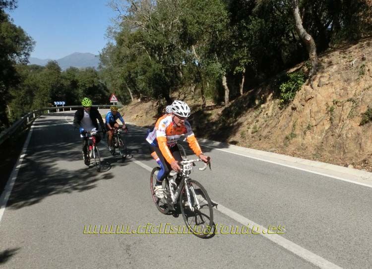 Ports Maresme 2014-3