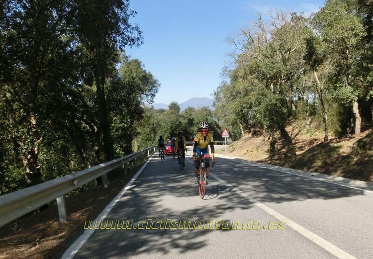 Ports Maresme 2014-3