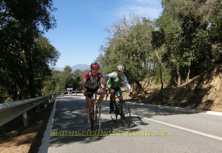 Ports Maresme 2014-3
