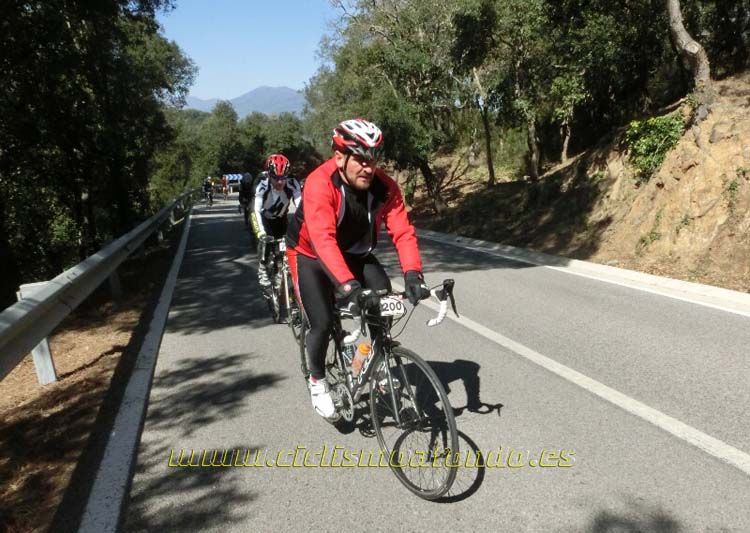 Ports Maresme 2014-3