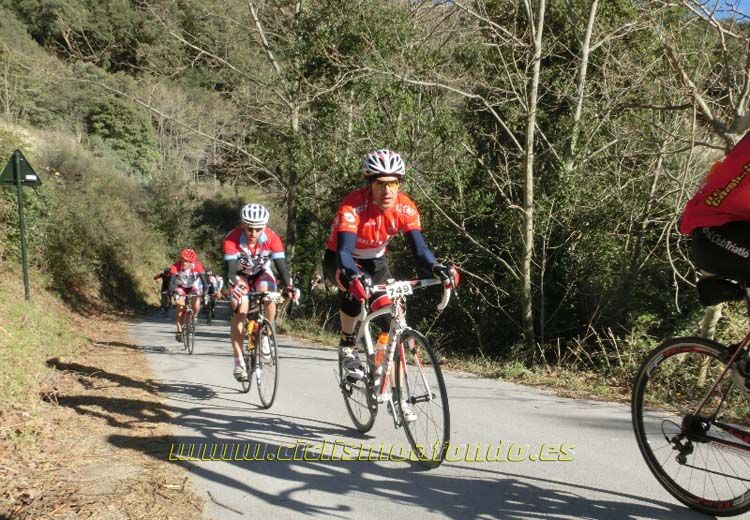 Ports Maresme 2014-3