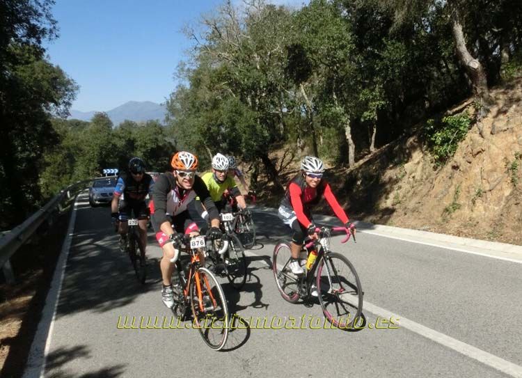 Ports Maresme 2014-3
