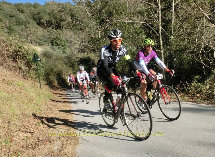 Ports Maresme 2014-3