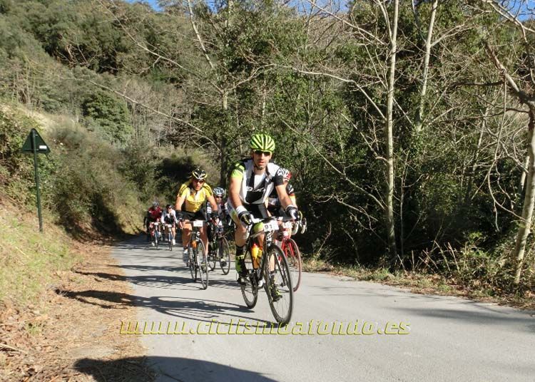 Ports Maresme 2014-3