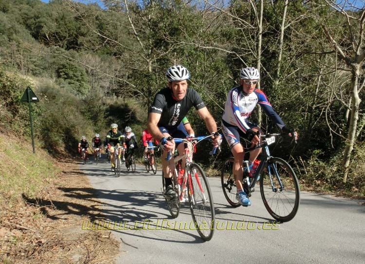 Ports Maresme 2014-3