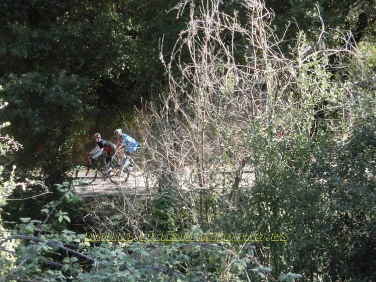 Ports Maresme 2014-3