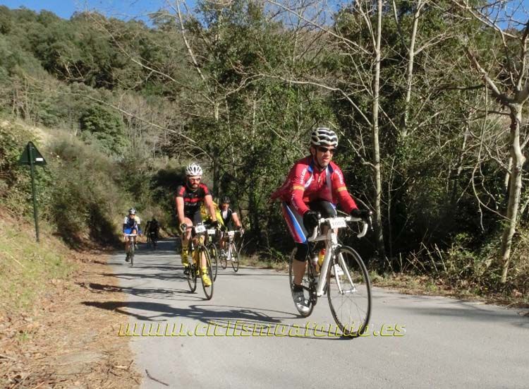 Ports Maresme 2014-3