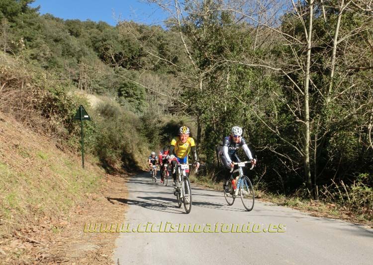 Ports Maresme 2014-3