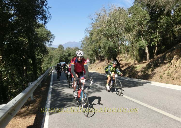 Ports Maresme 2014-3