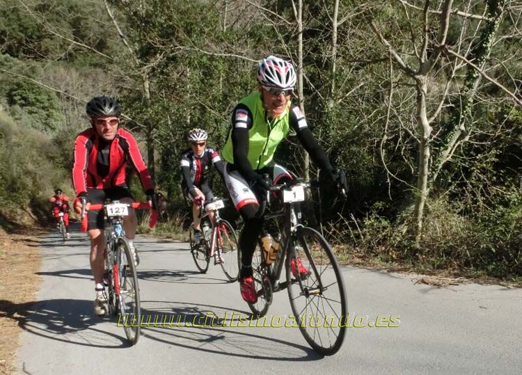 Ports Maresme 2014-3