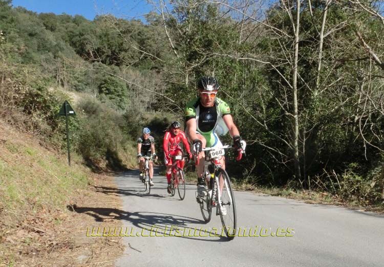 Ports Maresme 2014-3
