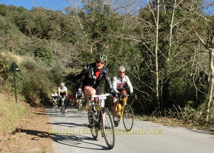 Ports Maresme 2014-3