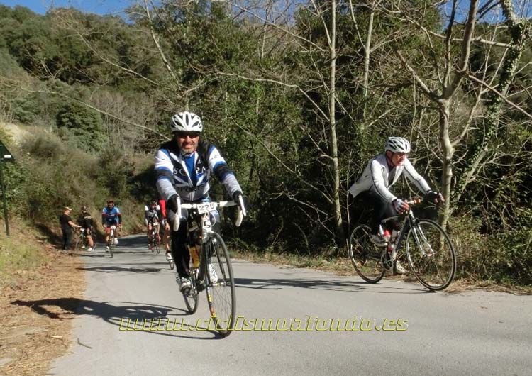 Ports Maresme 2014-3