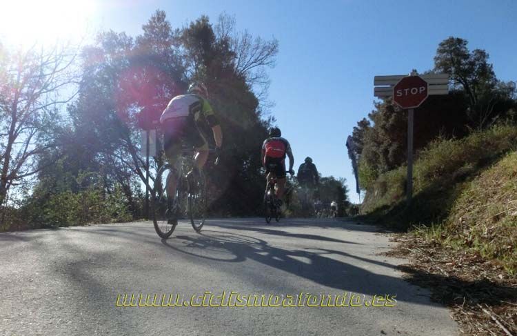 Ports Maresme 2014-3