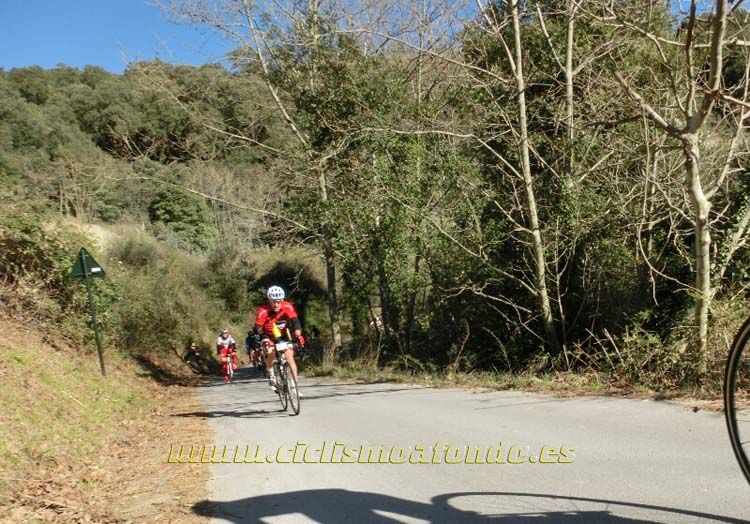 Ports Maresme 2014-3