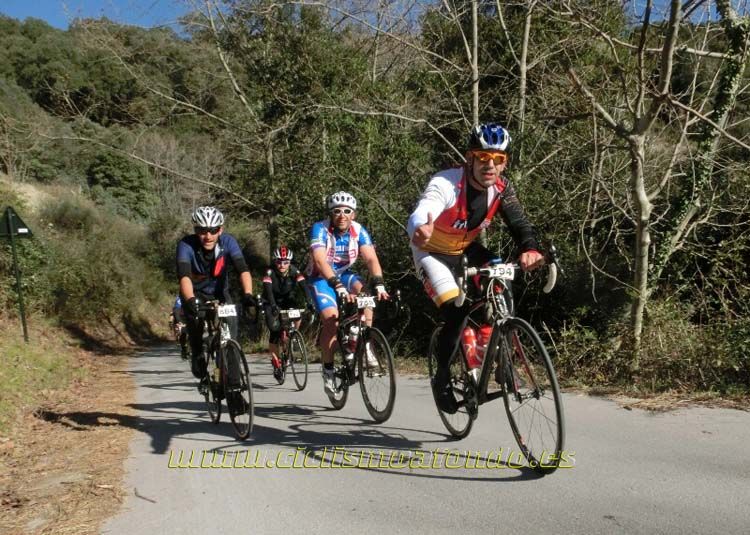 Ports Maresme 2014-3