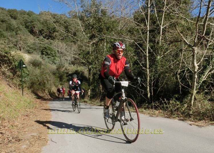Ports Maresme 2014-3